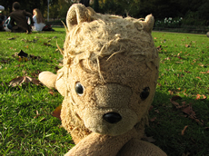 A picture of Me in the Sun